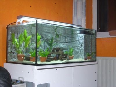 Hur man bygger en 150 - liters akvarium.